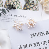 New Elegant  Pearl Flower Stud Earrings - Uncommon Remington 